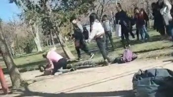 a las pinas, en el manzanar: nadie intenta separarlas a las pinas, en el manzanar: nadie intenta separarlas