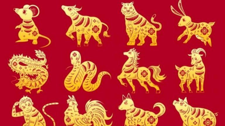Horóscopo chino: conocé la compatibilidad de los animales