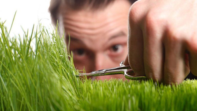 Horóscopo negro: para ellos todo tiene que ser perfecto