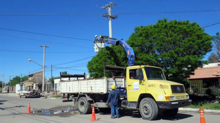 Siete barrios de Cutral Co se quedaron sin luz por una paloma