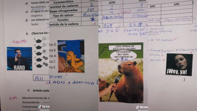 La docente que se volvió viral por corregir las evaluaciones de sus alumnos con memes