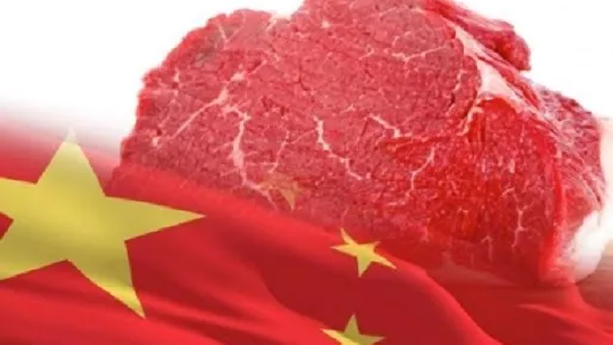 exportaciones de carne a China caen 15% en mayo thumbnail