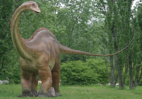 Descubrieron en la zona un nuevo dinosaurio con cola de látigo