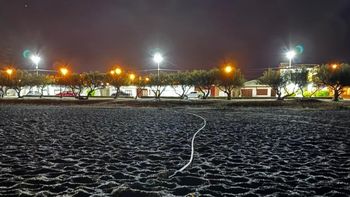 Uno de los casos se dio en la costanera de Playa Unión, la villa balnearia cercana a la capital de Chubut. Uno de los casos se dio en la costanera de Playa Unión, la villa balnearia cercana a la capital de Chubut.