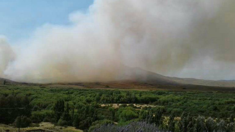 Evacuaron la Expo Rural por el avance de un incendio forestal