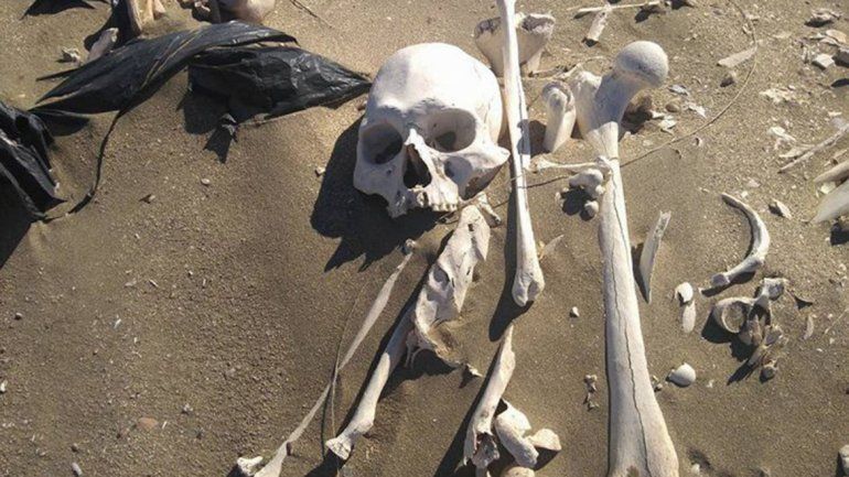 Los 20 esqueletos que se encontraron en Península Valdés son de 3 mil años atrás