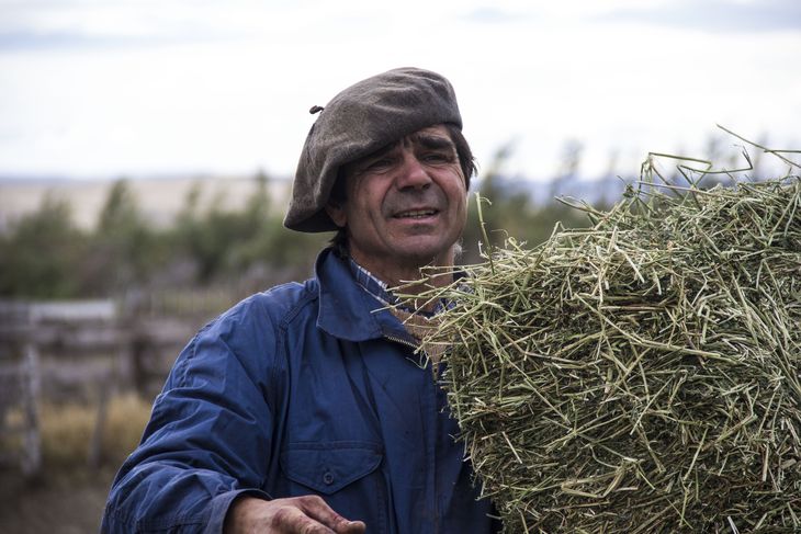 En la convocatoria inicial se registraron y postularon 150 campos, hay 35 que ya avanzaron con la presentación de un proyecto. En la convocatoria inicial se registraron y postularon 150 campos, hay 35 que ya avanzaron con la presentación de un proyecto.