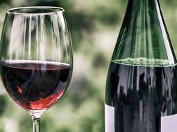 ¿Qué pesa más a la hora del sabor: la variedad de la uva o el lugar? ¿Qué pesa más a la hora del sabor: la variedad de la uva o el lugar?