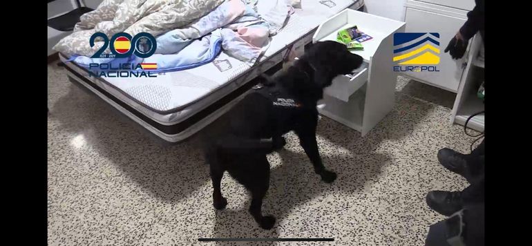 Un sector de los departamentos utilizados por la banda en Palma de Mayorca. Un sector de los departamentos utilizados por la banda en Palma de Mayorca.