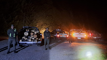 leña ilegal Nahuel Huapi