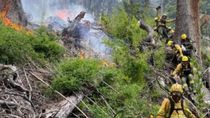Los brigadistas de Chubut entran embarcados, divididos en cuadrillas, para combatir el fuego en una zona de muy difícil acceso del Parque Nacional Los Alerces. Los brigadistas de Chubut entran embarcados, divididos en cuadrillas, para combatir el fuego en una zona de muy difícil acceso del Parque Nacional Los Alerces.