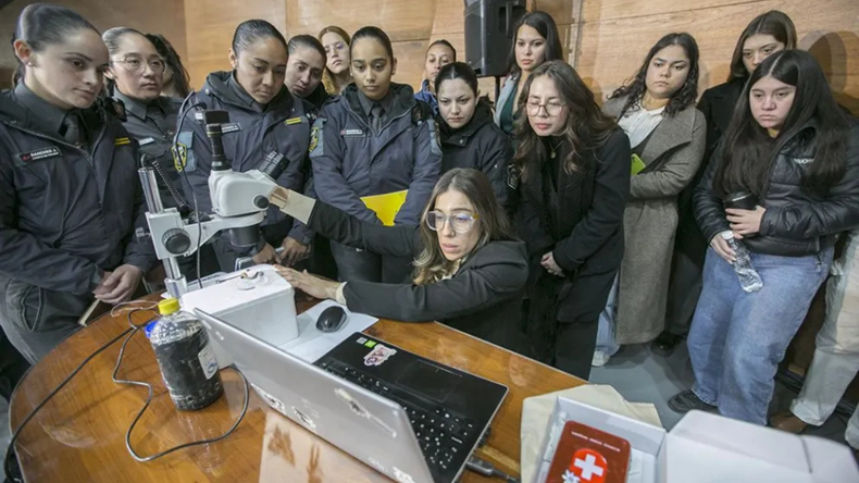 La entomóloga forense fanática de las moscas capacitó a policías: cómo los insectos ayudan a resolver crímenes