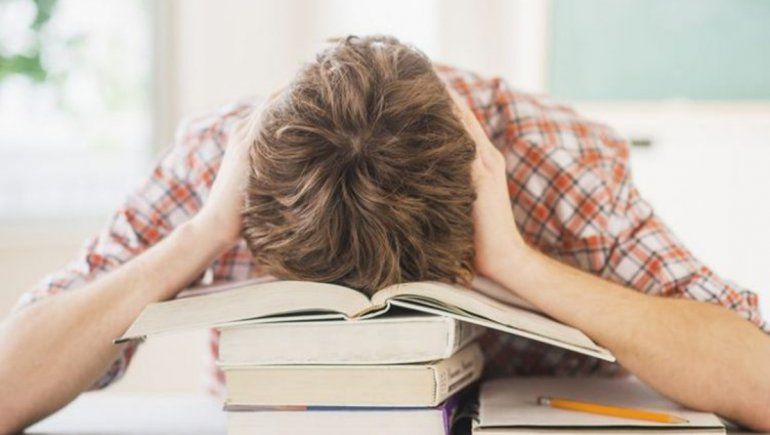 Hizo un video para contarle a sus padres que se llevó materias y se volvió viral