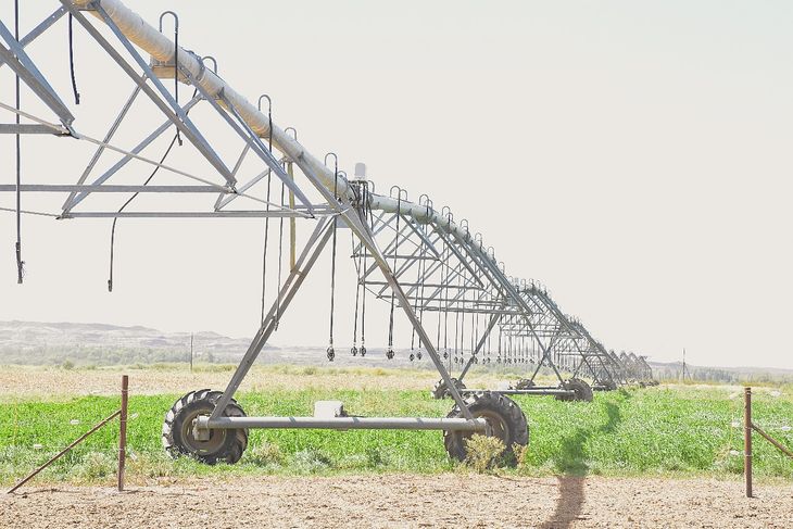 Solo el 10% de la superficie productiva cultivable de Río Negro se riega por pivote. Solo el 10% de la superficie productiva cultivable de Río Negro se riega por pivote.