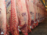En la Patagonia, alertan: Se están paralizando los mercados.