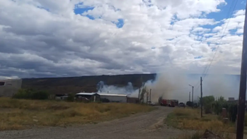 polemico: fueron a apagar un incendio en la casa de un policia y encontraron un invernadero con marihuana polemico: fueron a apagar un incendio en la casa de un policia y encontraron un invernadero con marihuana