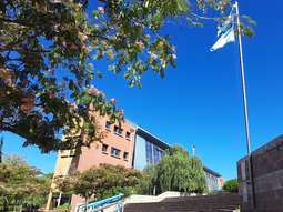 una nena se fracturo en la escuela y un juez ordeno pagar una desorbitante suma: la bronca del cpe por ilicito e inmoral una nena se fracturo en la escuela y un juez ordeno pagar una desorbitante suma: la bronca del cpe por ilicito e inmoral