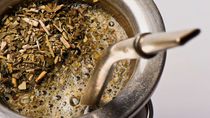 Productores y especialistas evaluarán distintas variedades de yerba mate en un certamen. Productores y especialistas evaluarán distintas variedades de yerba mate en un certamen.