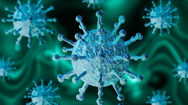 Estudio muestra que la Covid-19 es una enfermedad vascular