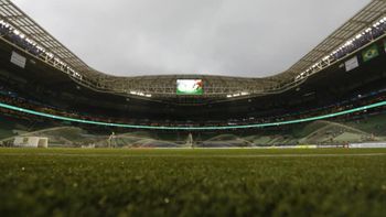 Los detalles del césped del estadio del Palmeiras. Los detalles del césped del estadio del Palmeiras.
