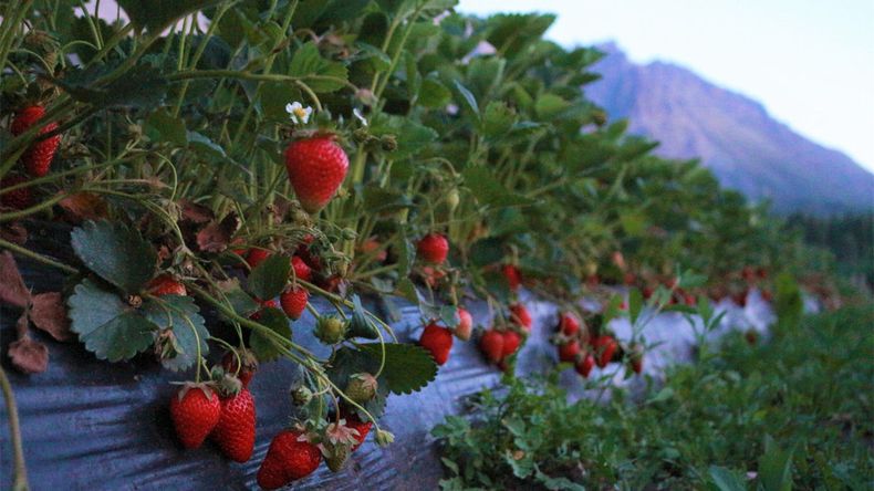 El Bolsón mantiene gran cantidad de atractivos turísticos que no están afectados por el incendio