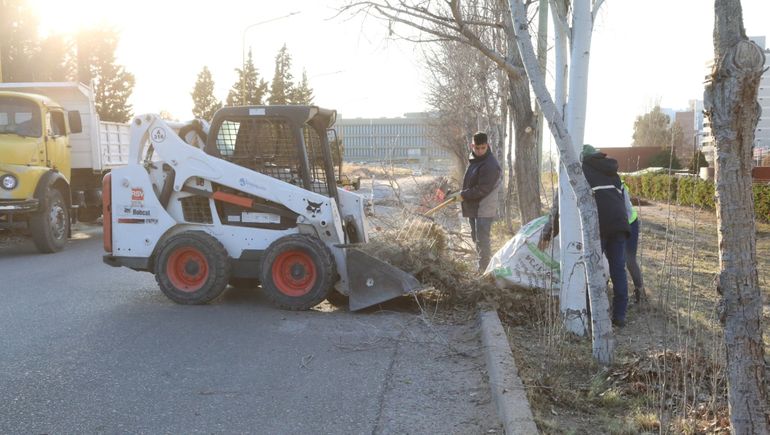 Chau basura en la UNCo: la Municipalidad terminó la limpieza del campus