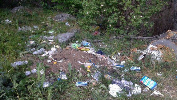 Basura en el lago Guillelmo de La Angostura.