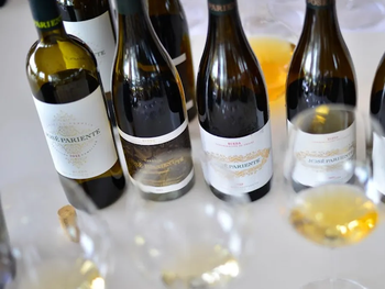 de menos a mas: una escala simple para entender los vinos blancos