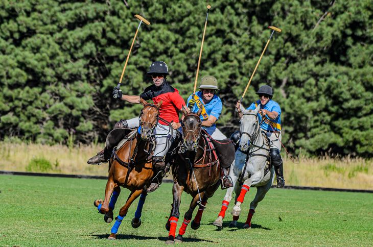Desde el comienzo de la semana se jugó el Torneo Polo Copa “Andino Grahn” en Club El Desafío. Foto: gentileza SRN. Desde el comienzo de la semana se jugó el Torneo Polo Copa “Andino Grahn” en Club El Desafío. Foto: gentileza SRN.