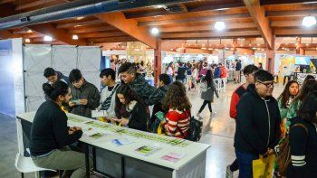 la educacion publica gano terreno entre los jovenes la educacion publica gano terreno entre los jovenes
