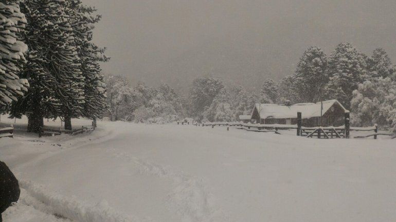 Una fuerte nevada cambió el paisaje primaveral en toda la zona cordillerana
