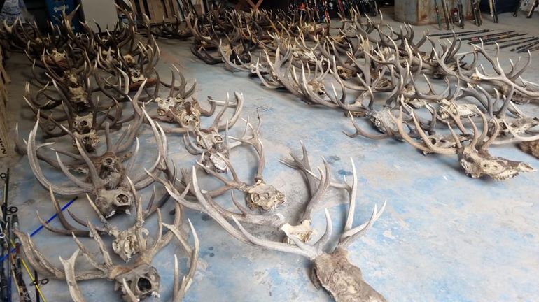 La Dirección Provincial de Fauna y Áreas Naturales Protegidas remató artículos secuestrados. La Dirección Provincial de Fauna y Áreas Naturales Protegidas remató artículos secuestrados.