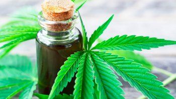 Cannabis Medicinal.png