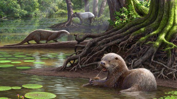 Una nutria de dos metros