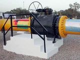 El gas fue producido en la Cuenca Neuquina y transportado por las redes troncales de TGN y TGS hasta Campo Durán, en Salta.