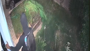 video: entro por la ventana y en un minuto le robo mas de un millon de pesos video: entro por la ventana y en un minuto le robo mas de un millon de pesos