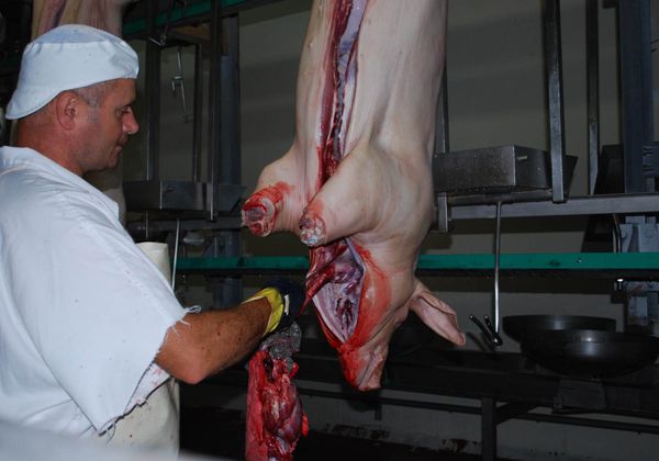 Por el aumento del asado, se consume más cerdo