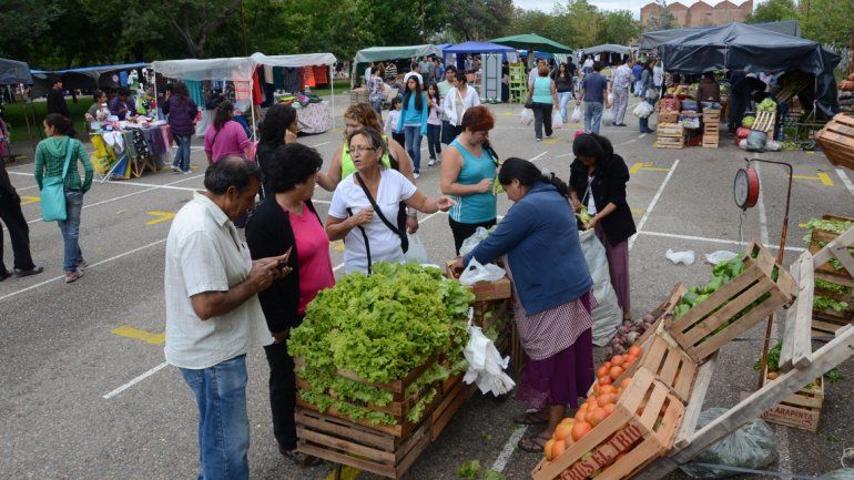 Municipio intimó a la Feria Central a que regularice sus servicios