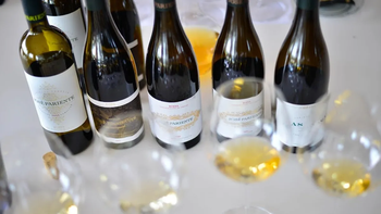 de menos a mas: una escala simple para entender los vinos blancos de menos a mas: una escala simple para entender los vinos blancos