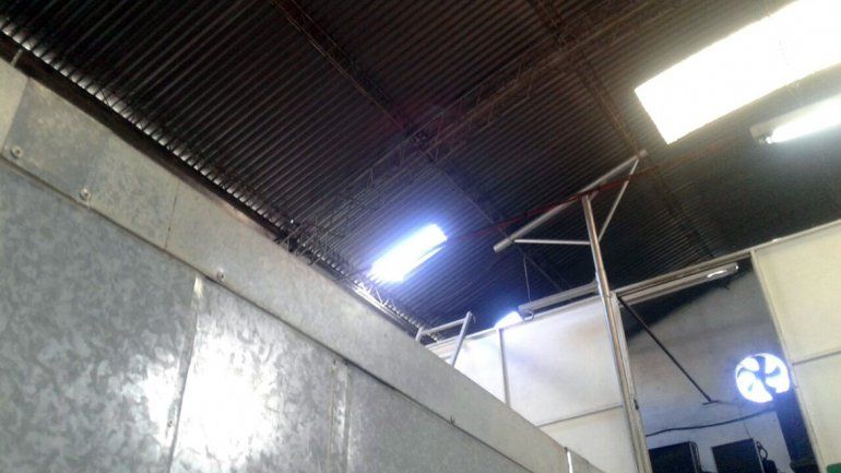 Boqueteros ingresaron a una pollería neuquina y se llevaron una caja fuerte con plata