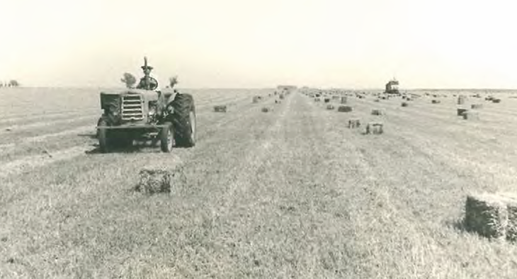 Enfardando el primer corte de primavera, base del negocio familiar por esos años. Foto: Enfardando el primer corte de primavera, base del negocio familiar por esos años. Foto: