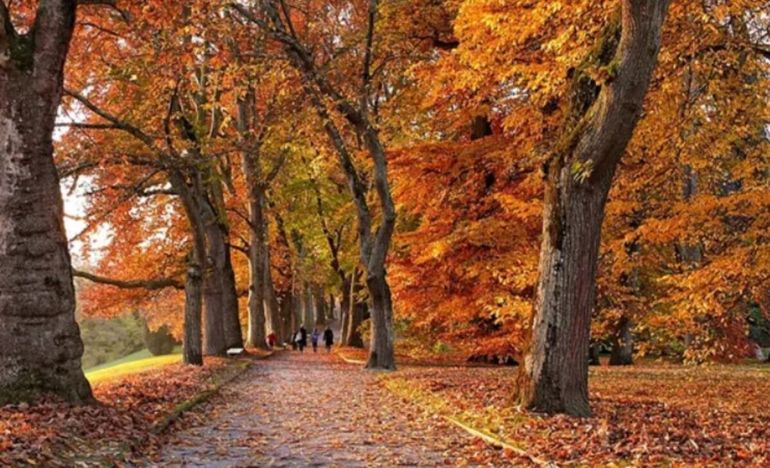 El equinoccio marca el inicio del otoño en el hemisferio sur y establece un equilibrio entre la duración del día y la noche.