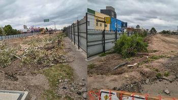 Desde la Municipalidad informaron cuál será el destino de los árboles retirados. Desde la Municipalidad informaron cuál será el destino de los árboles retirados.