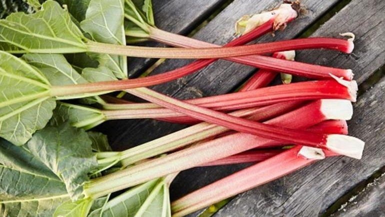 Los cuatro alimentos más peligrosos para la salud