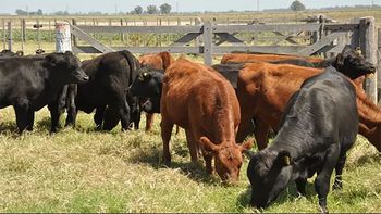 Barrera sanitaria: Patagonia judicializará la Resolución 180