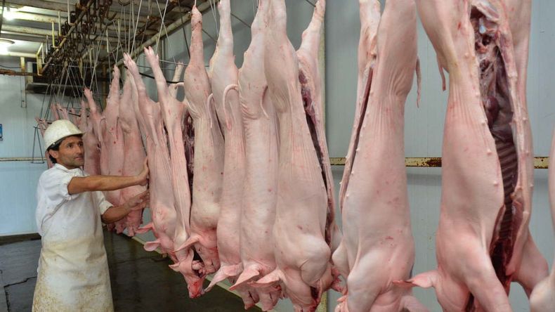 El consumo de cerdo en la Argentina crece, la importación también.