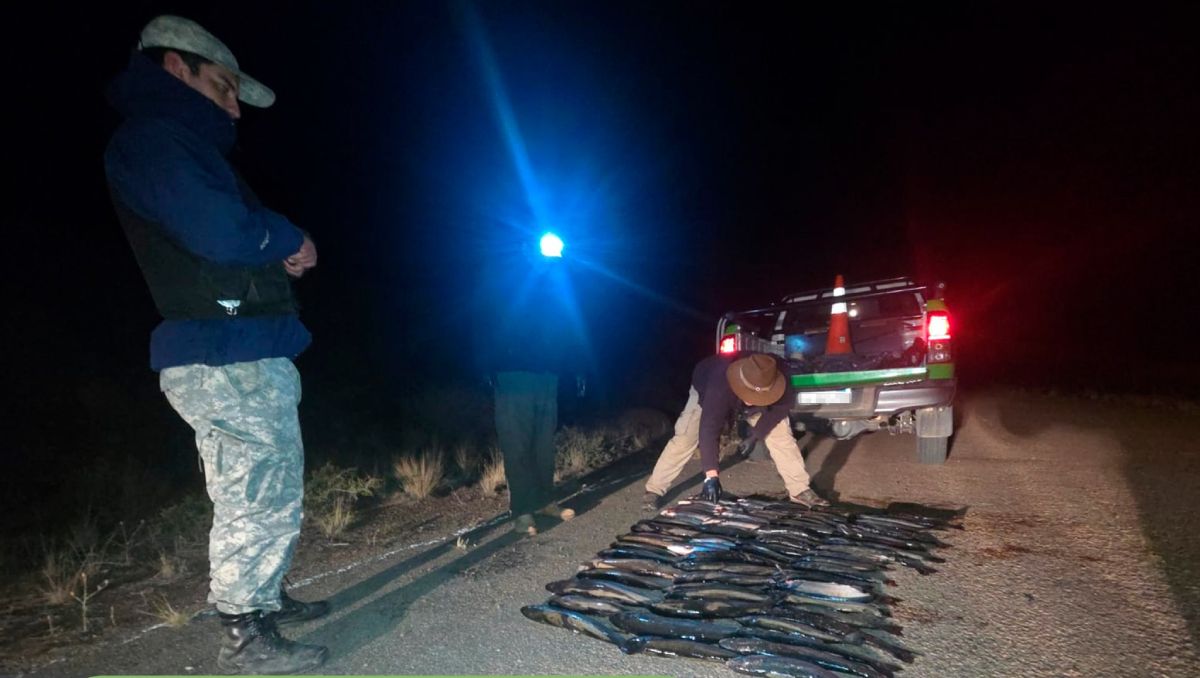 Secuestraron 79 truchas y elementos de pesca ilegal en la Ruta 237