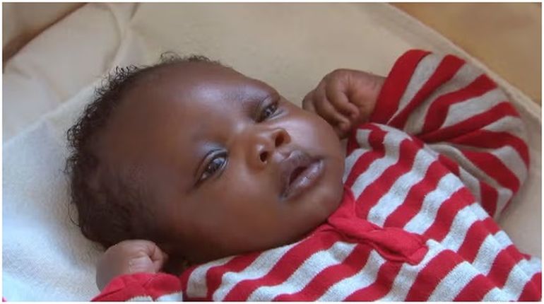 Harry, encontrado en septiembre de 2017. Harry, encontrado en septiembre de 2017.