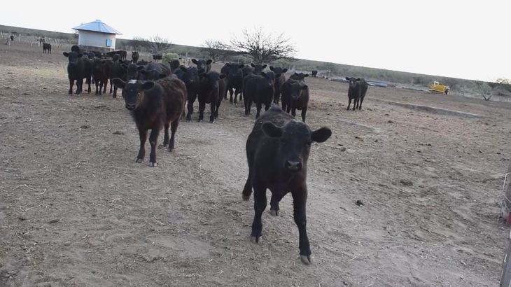 El encarecimiento de la hacienda y la menor oferta anticipan un verano con bolsillos m&aacute;s ajustados.