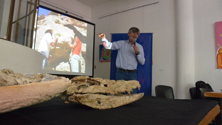 Presentaron en sociedad al cocodrilo del Cretácico